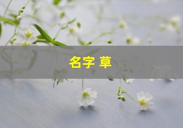 名字 草